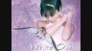 Keiko Matsui - Safari