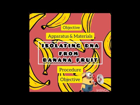 Practical Skills Test (Biology) : Isolating DNA from Banana Fruit | Matriculation