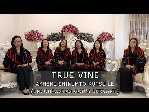 AKHEMI SHIKUMTO KUTSU LE