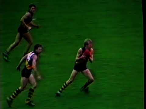 VFL - Geelong v Richmond Round 10 1986 -  Kardinia Park  -  Last Quarter Highlights