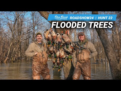 ARKANSAS FLOODED TIMBER DUCK HUNT: Limits & Banded Mallard! | #ROADSHOW24 HUNT 22