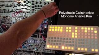 Video thumbnail for Polyphasic Calisthenics: Monome Ansible Kria by Dudadius