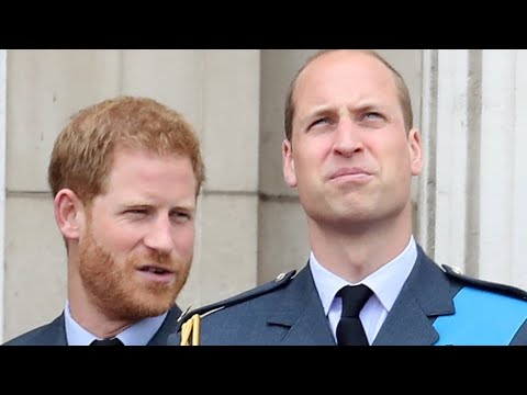 download lagu mp3 mp4 How Can I Contact Prince William, download lagu How Can I Contact Prince William gratis, unduh video klip How Can I Contact Prince William