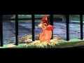 Lady And The Tramp He S A Tramp Italian HD