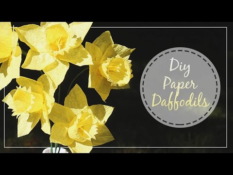 download lagu mp3 mp4 How To Make Paper Daffodils, download lagu How To Make Paper Daffodils gratis, unduh video klip How To Make Paper Daffodils