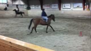 Jag och Valentino, galoppen