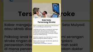 Kak Seto Terserang Stroke, Penanganannya Melibatkan Dokter Saraf dan Jantung, Begini Gejalanya