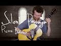 Silent Passenger (Pierre Bensusan) played by Christian Brock (a Bird Nest Session)