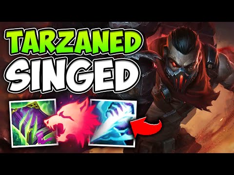 I COPIED TARZANED'S SINGED JUNGLE AND CARRIED IN MASTER ELO! - League of Legends