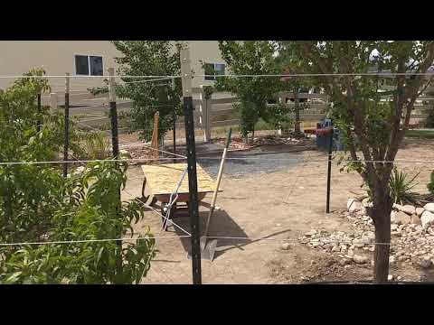 Espalier for fruit trees fencing part 2