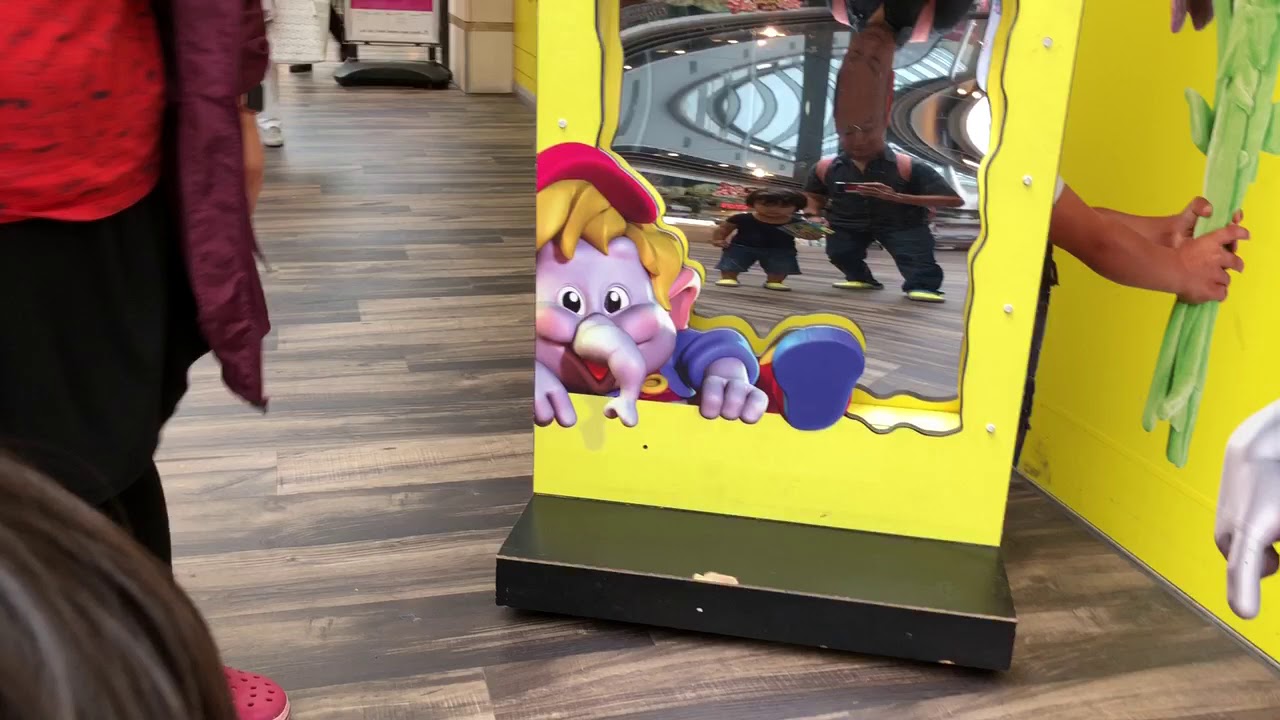 Fun with a distortion mirror