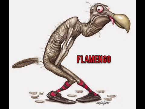 Nova Música Zuando o Flamengo