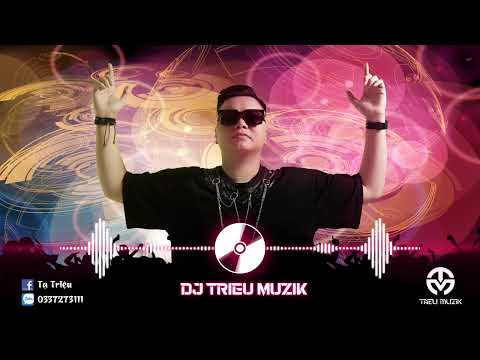 NHẠC NGHE TRÊN XE VOL 1 CỦA DJ TRIỆU MUZIK