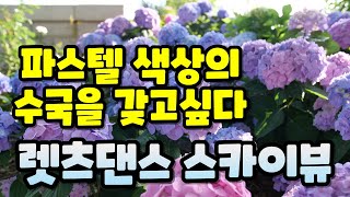파스텔 색상의 수국을 찾으신다면 이 영상을 시청하셔야 합니다!!!!! 렛츠댄스 스카이뷰를 보여드리겠습니다!!…
