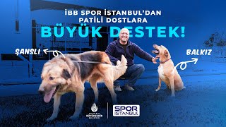 İBB Spor İstanbul’dan Patili Dostlara Büyük Destek! Balkız ve Şanslı’nın Sevgi Dolu Hikayesi!