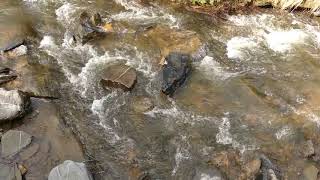 [Imperdvel] Som de gua corrente, para dormir e relaxar, barulho de gua, cachoeiras, medita!