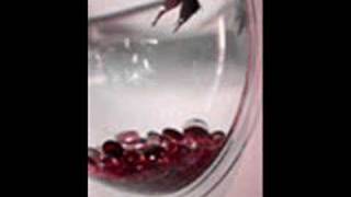 Stuck in the Fish Bowl