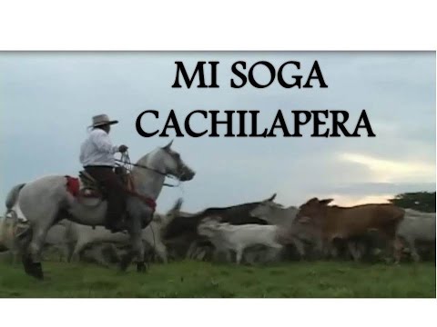 Alfredo Parra Mi Soga Cachilapera