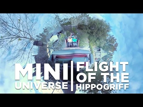 Flight of the Hippogriff | Mini Universe