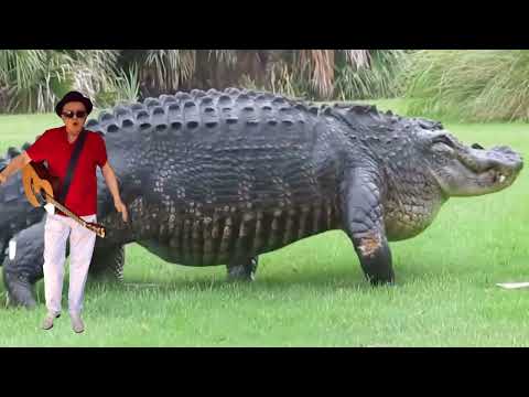 Biggi Kaaiman ( groep 3 tm 6 )