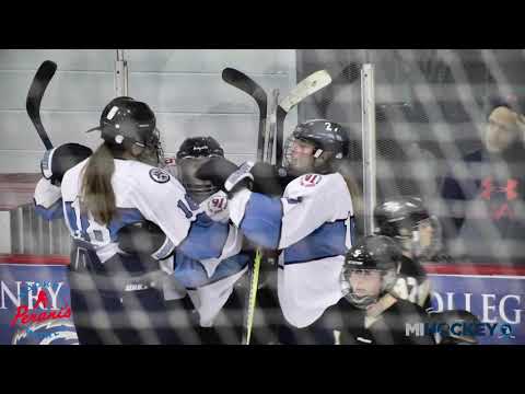 2019 MAHA 19U Tier 2 girls' state championship - Petoskey Northmen vs. HB Hockey