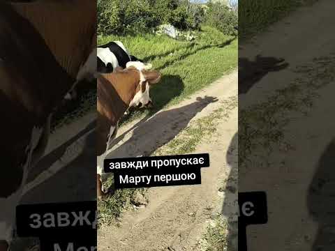 Маня завжди біжить попереду