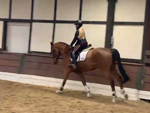 DIAMANT 5j. v. Diathago - Triomphe de Muze  VB 18.000,- Euro