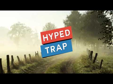 Stereoliez ✖ PU666Y -- Wildstyle (TRAP VIP MIX)