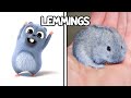 Grizzy And The Lemmings Characters In Real Life