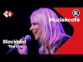 Blackbird - The One | NPO Radio 2
