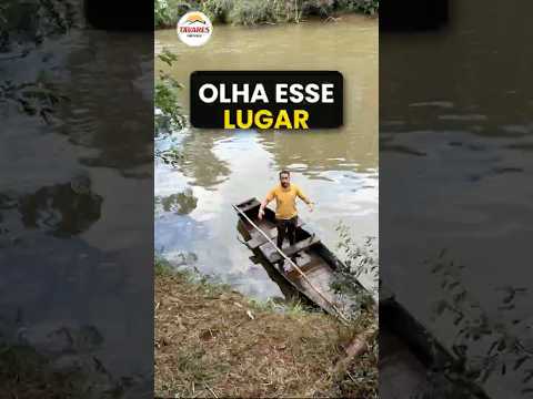 Olha esse lugar 😍 sítio com rio em Palmitinho-RS #sitioavenda