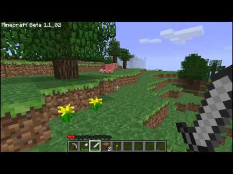 Minecraft Short and Sweet - An orientation film by mmillss
