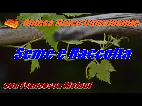 Scuola Biblica: Seme e Raccolta