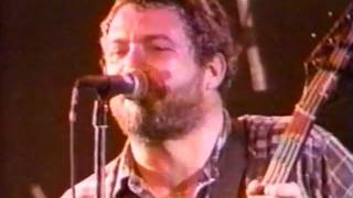Mike Watt with Dave Grohl and Eddie Vedder LIVE 5-95 Making the Freeway