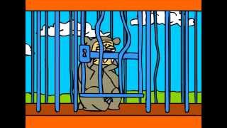 El Oso . IVAN BASSOTTI