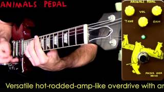 Video thumbnail for Animals Pedal Major Overdrive by Mike Hermans