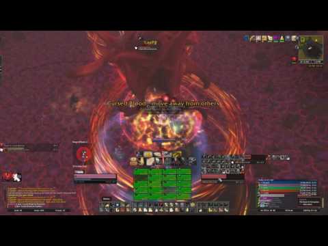 [Ebrius] - Il'gynoth, The Heart of Corruption Mythic Holy paladin pov