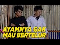 Si Ojan Bantu Hipnotis Agar Ayamnya Mau Bertelur SKETSA