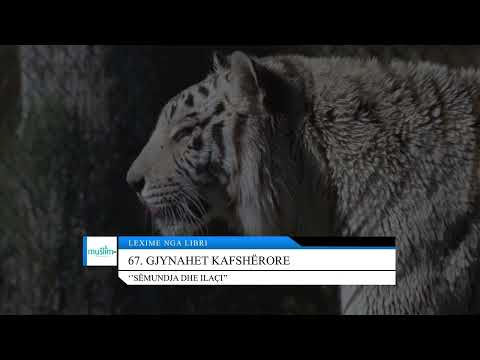 67. Gjynahet kafshërore - Lexime nga libri: ''Sëmundja dhe ilaçi''