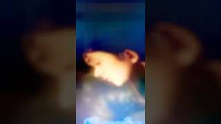 Download lagu HATI YANG KECEWA 7 ... NAFA URBACH mp3 Download lagu HATI YANG KECEWA 7 ... NAFA URBACH mp3