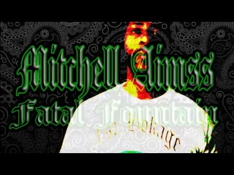 Mitchell Aimss - let It Go Freestyle