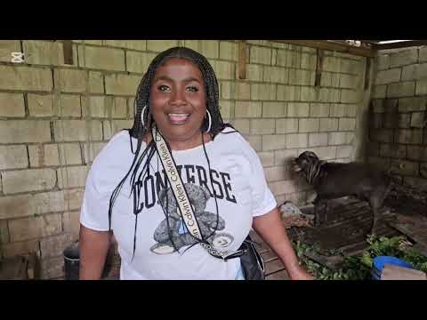 Come with down to Fresh goat 🐐 Pen on the gully side.