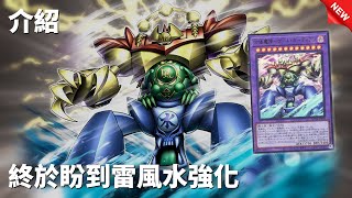 [豆哥] 雷風水 門之守護者