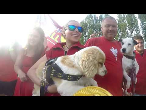 EFC 2017 - flyball Hop Trop