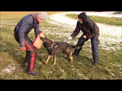 Faro Blendy - Protection