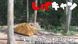 このキャンプ場......ステキ！！【前編】しげキャン