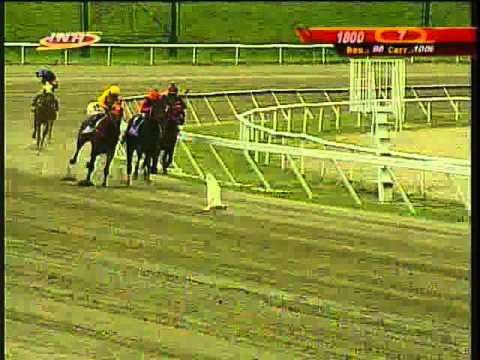 Resumen Sábado, 06 de Diciembre de 2014 - La Rinconada