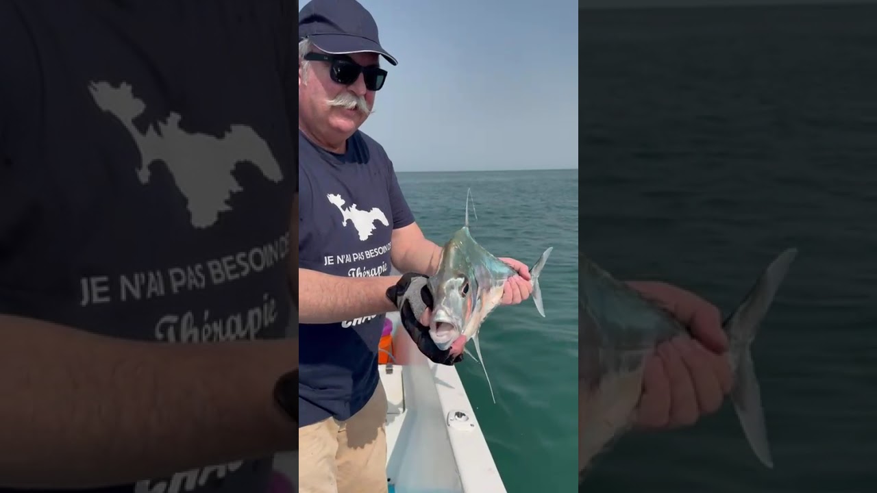 Hôtel Kasa Afrikana