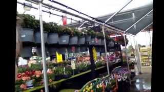 Here's where I work! Home Depot garden center!