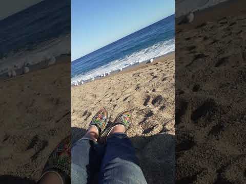 16 de diciembre de 2023